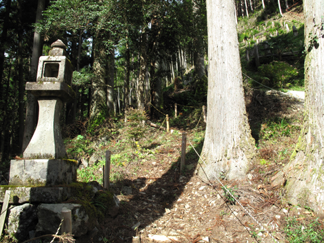 20171102hike (7)